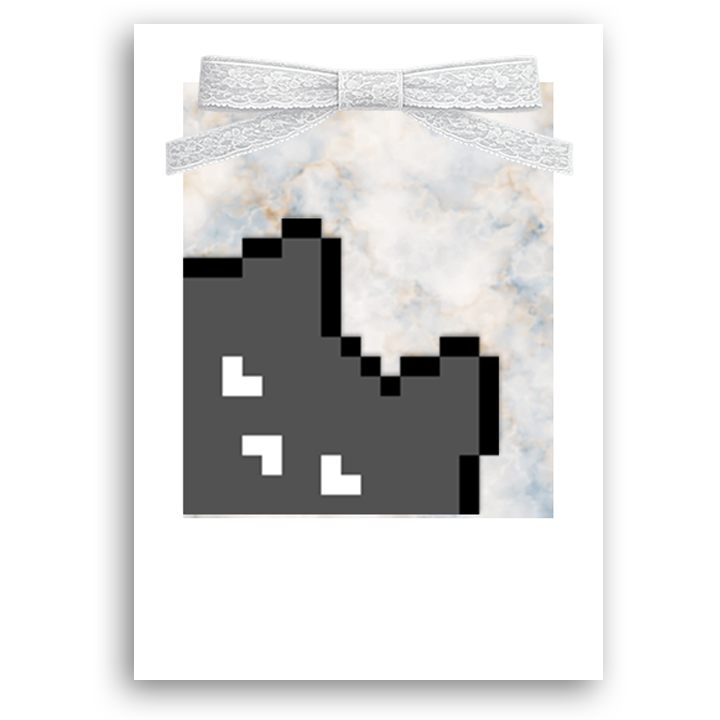 ドット絵猫のチェキ